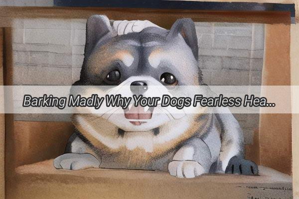 Barking Madly Why Your Dogs Fearless Heart Makes Them Unfazed by Strangers